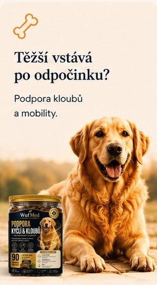 WufMed Produkt
