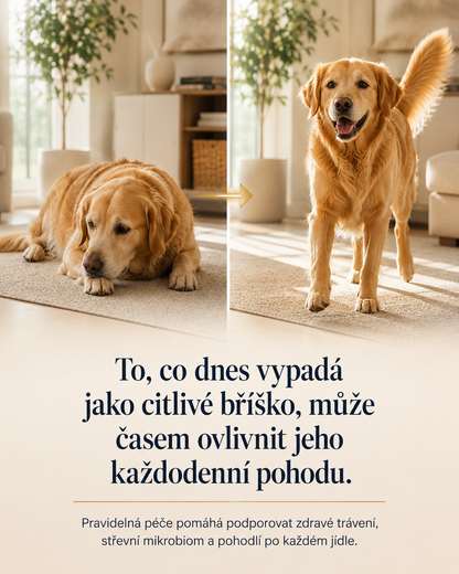 WufMed Gut+