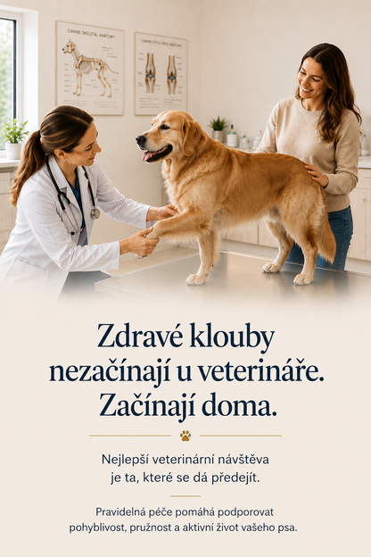 WufMed Joint+