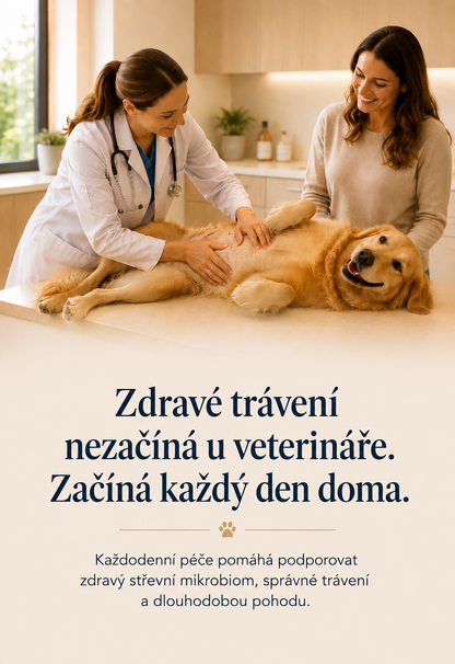 WufMed Gut+