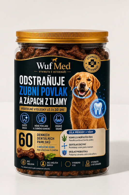 WufMed Dental+