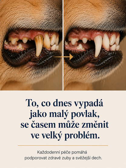 WufMed Dental+