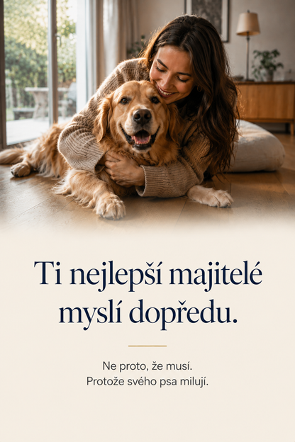 WufMed Dental+