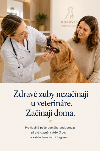 WufMed Dental+