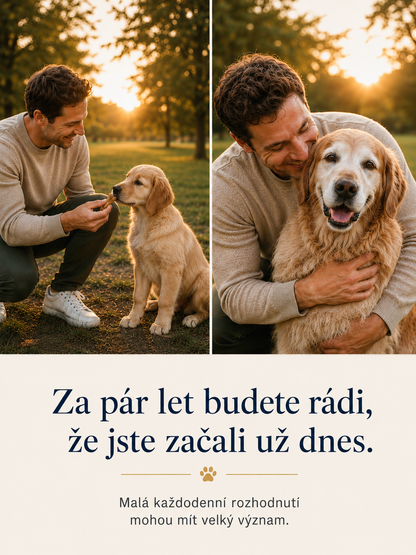 WufMed Dental+